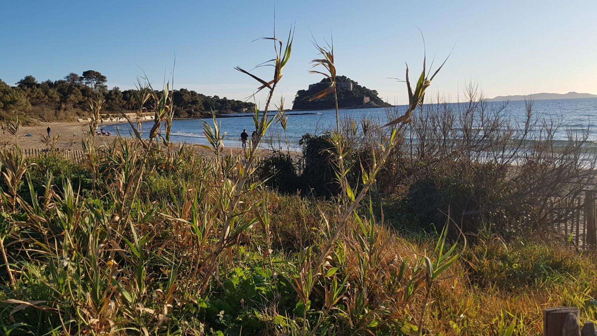 Rez De Jardin T3 Recent Et Calme Au Nouvelles Terres A La Londe Les Mauresアパートメント エクステリア 写真